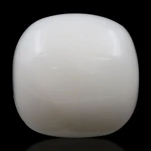 Shop natural white coral stone online at best price