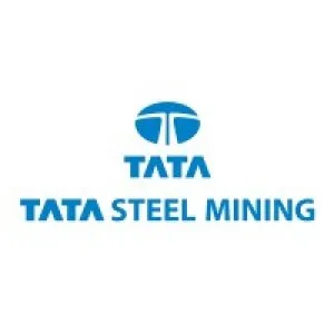 Ferro alloys, chrome, silico manganese | tata group