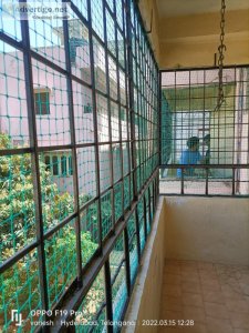 Pigeon safety nets