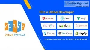 Best web development company in usa | verve systems