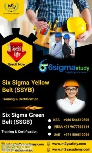 Six sigma green belt course - m2y safety academy