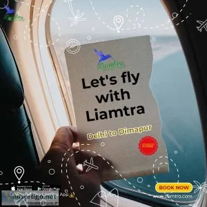Cheap airline flight ticket from delhi to dimapur at liamtra