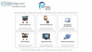 Web development