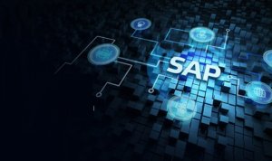 Rise with sap implementation services and solutions