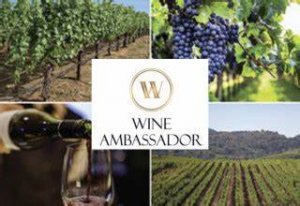 Wine ambassador