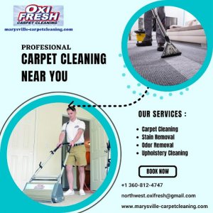 Professional carpet cleaning service near you