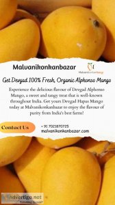 Purchase devgad 100% organic alphonso mango from malvani konkan