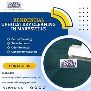 Residential upholstery cleaning in marysville