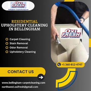 Residential upholstery cleaning in bellingham