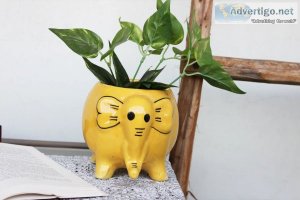 No garden? no problem buy some amazing handy planters for your r