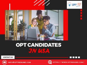 Hiring opt students | optresume