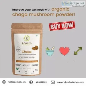 Improve your wellness with organic chaga mushroom powder
