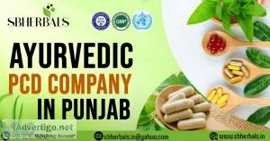Ayurvedic pcd company in punjab