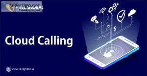 Business phone services