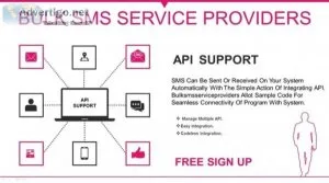 Best bulk sms api: revolutionizing the way businesses communicat