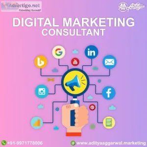 Hire the best digital marketing consultant