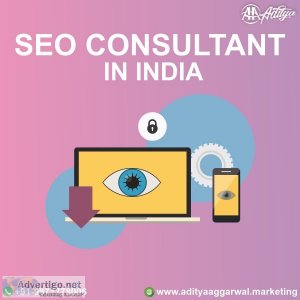 Find one of the best seo consultant in india