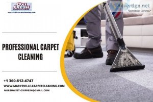Professional carpet cleaners marysville