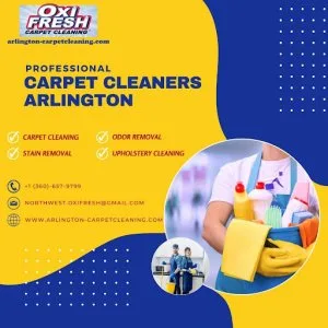 Professional carpet cleaners arlington