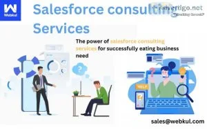 Salesforce and software consulting services