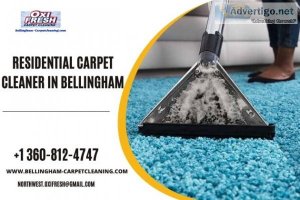Residential carpet cleaner in bellingham - nashik