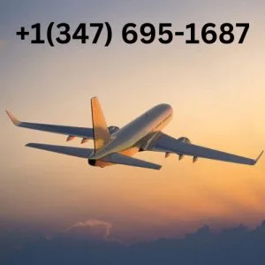 Reservation booking agent
