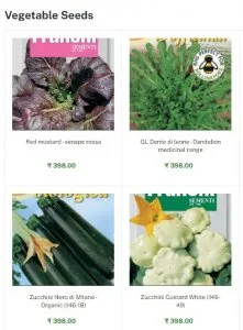 Vegetable seeds: discover the best vegetable seeds at bloombaske