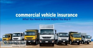 How to check car and bike insurance online