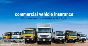 How to check car and bike insurance online