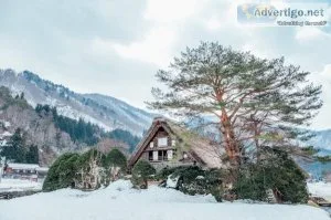 Best airbnb in manali