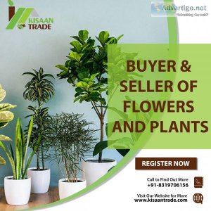 Find your perfect bloom - the ultimate flower & plant marketplac