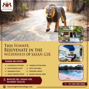 Best resorts in sasan gir - bright view cottage
