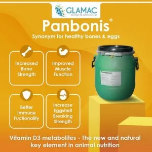 Panbonis: complementary poultry feed | glamac