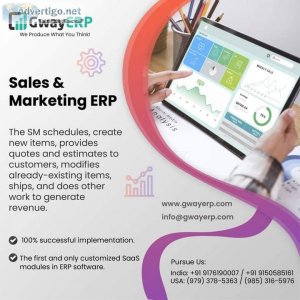 Customized erp software development