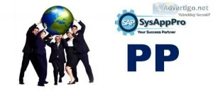 Sap pp training institute in noida