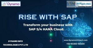 Rise with sap s/4hana public cloud erp software