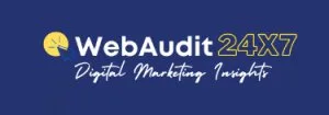 Webaudit - digital marketing insights
