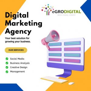 Digital marketing services company in mumbai