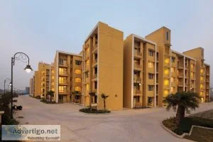 The low-cost housing according government housing scheme
