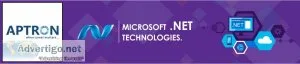 net training in noida