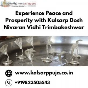 Experience peace with kalsarp dosh nivaran vidhi trimbakeshwar