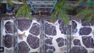 Leading manufacturer of zero liquid discharge plants in pune