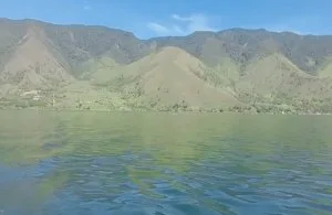 Pulau rubiah