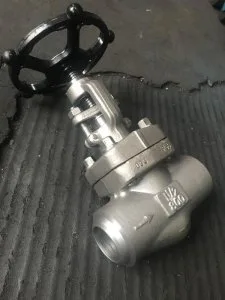 Check valve supplier uae