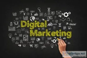 Top digital marketing agency in mohali