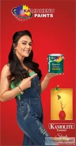Best colour for house in india by kamdhenu paints
