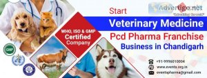 Top veterinary pcd company in india