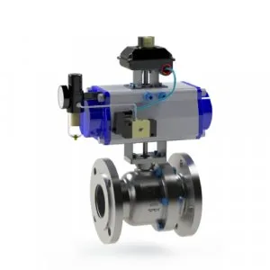 Bellow seal valve