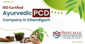 Top ayurvedic pcd company in chandigarh