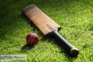 Online cricket betting